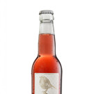 Goldkehlchen Weichsel.jpg