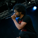 alice in chains -  nova rock 2010 - burgenland - florian wieser _10_.jpg