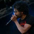 alice in chains -  nova rock 2010 - burgenland - florian wieser _11_.jpg