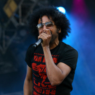 alice in chains -  nova rock 2010 - burgenland - florian wieser _12_.jpg