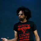 alice in chains -  nova rock 2010 - burgenland - florian wieser _15_.jpg