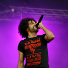 alice in chains -  nova rock 2010 - burgenland - florian wieser _16_.jpg