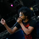 alice in chains -  nova rock 2010 - burgenland - florian wieser _8_.jpg