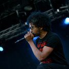 alice in chains -  nova rock 2010 - burgenland - florian wieser _9_.jpg