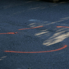 normal_07082009l101ff_14.jpg