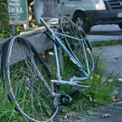 normal_07082009l101ff_15.jpg