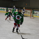 DSC_0157_JPG-1457190939.jpg