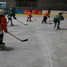 DSC_0160_JPG-1457190997.jpg