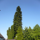 K1024_P1070876_JPG-1276502969