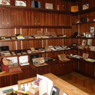 P3050025.JPG