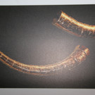 Mundart ist die Sprache des Gefühls