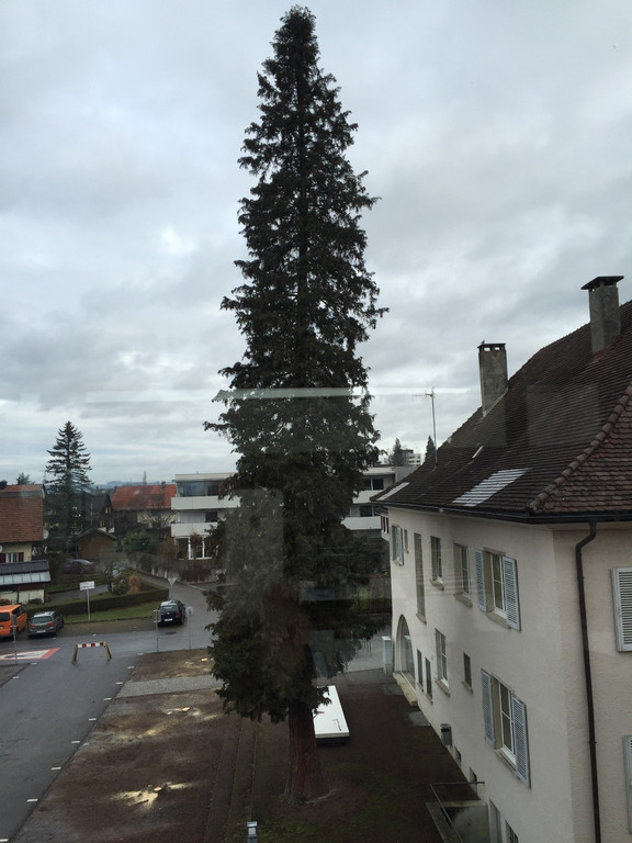 Gemeindeamt Z BAUMF__LLUNG 16-02-2016 _2_.JPG
