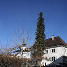 Gemeindeamt Z BAUMF__LLUNG.JPG