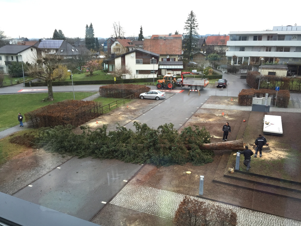 Gemeindeamt Z BAUMF__LLUNG 16-02-2016 _1_.JPG