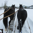 wundersch__ne Winterlandschaft und 2PS.jpg