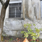 DSC_0032.JPG