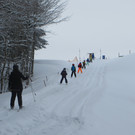 IMG_2445.JPG