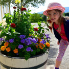 Blumen Schloss Hof _c_ Schloss Hof Markus Eitzinger.jpg