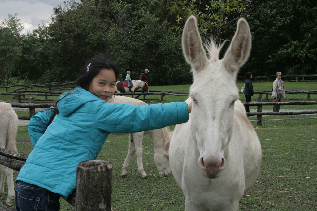 Eselolympiade _c_ Schloss Hof M__ller.JPG
