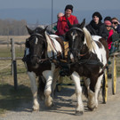 Kutschenfahrt _c_ Jutta Kirchner_Schloss Hof.jpg