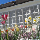 Orangerie Schloss Hof _c_ Schloss Hof Hromjakova.jpg