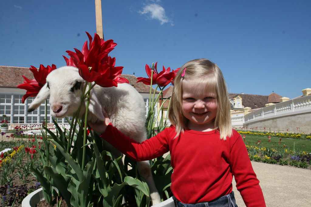 Ostern_Antonia_Lamm weiss _c_ Schloss Hof.JPG