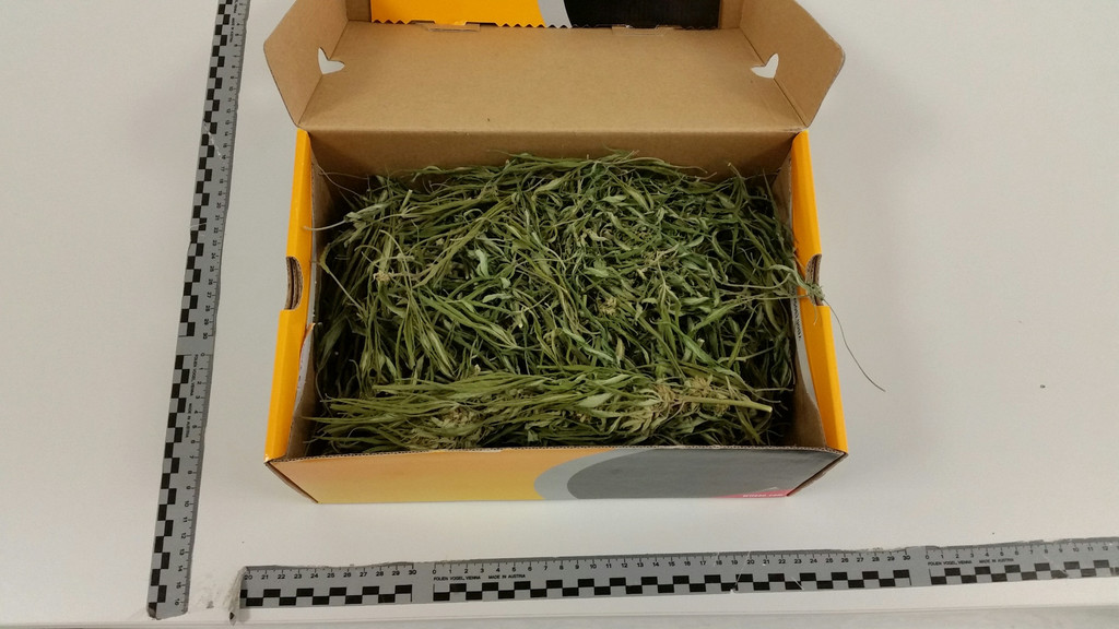 08_03_2016 SPK SW_ sichergestelltes Cannabiskraut Bild 1.jpg