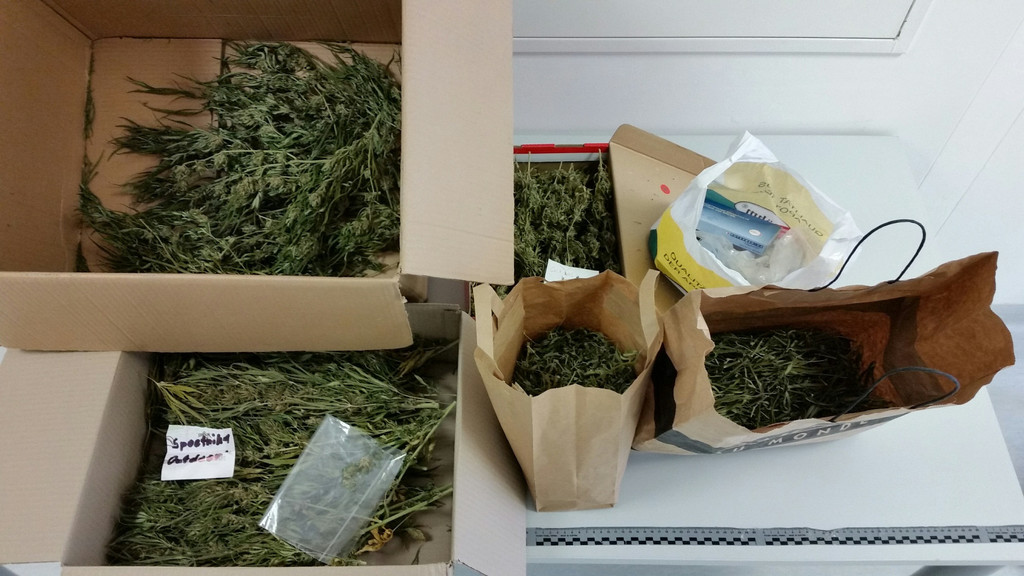08_03_2016 SPK SW_ sichergestelltes Cannabiskraut Bild 2.jpg