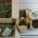 08_03_2016 SPK SW_ sichergestelltes Cannabiskraut Bild 2.jpg