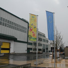 IMG_5442.JPG