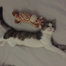 image _1_.jpeg