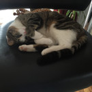 image _3_.jpeg