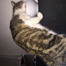 image _4_.jpeg
