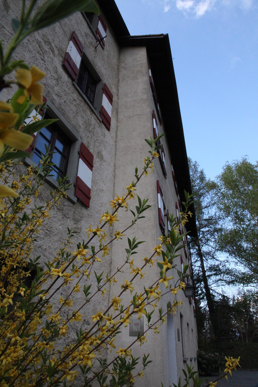 KOE_Schloss Amberg 3.jpg