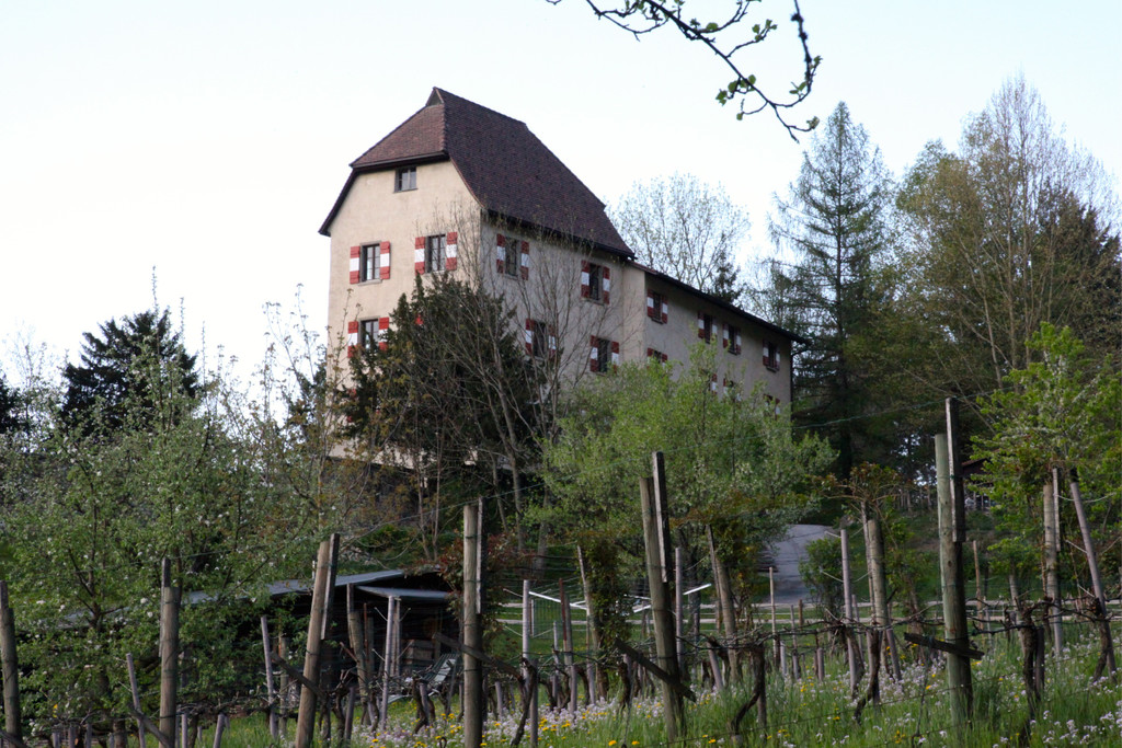 KOE_Schloss Amberg 29.jpg