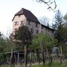 KOE_Schloss Amberg 29.jpg