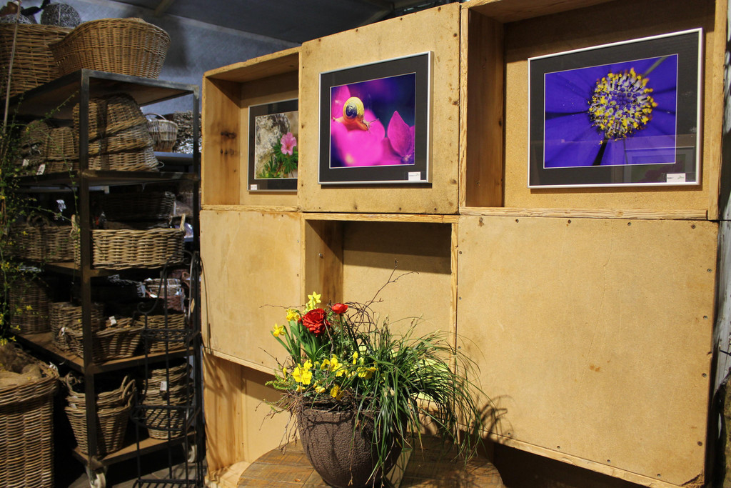 Fotoausstellung 022.JPG
