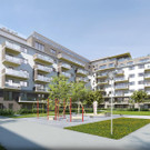 Bilder des Projektes