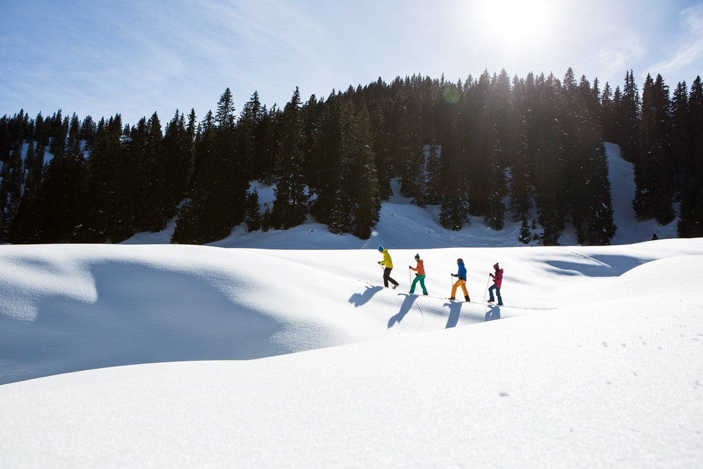 montafon_2015_winter_tag2_skialpin_genuss_schneeschuh_72_dpi_danielzange___.jpg