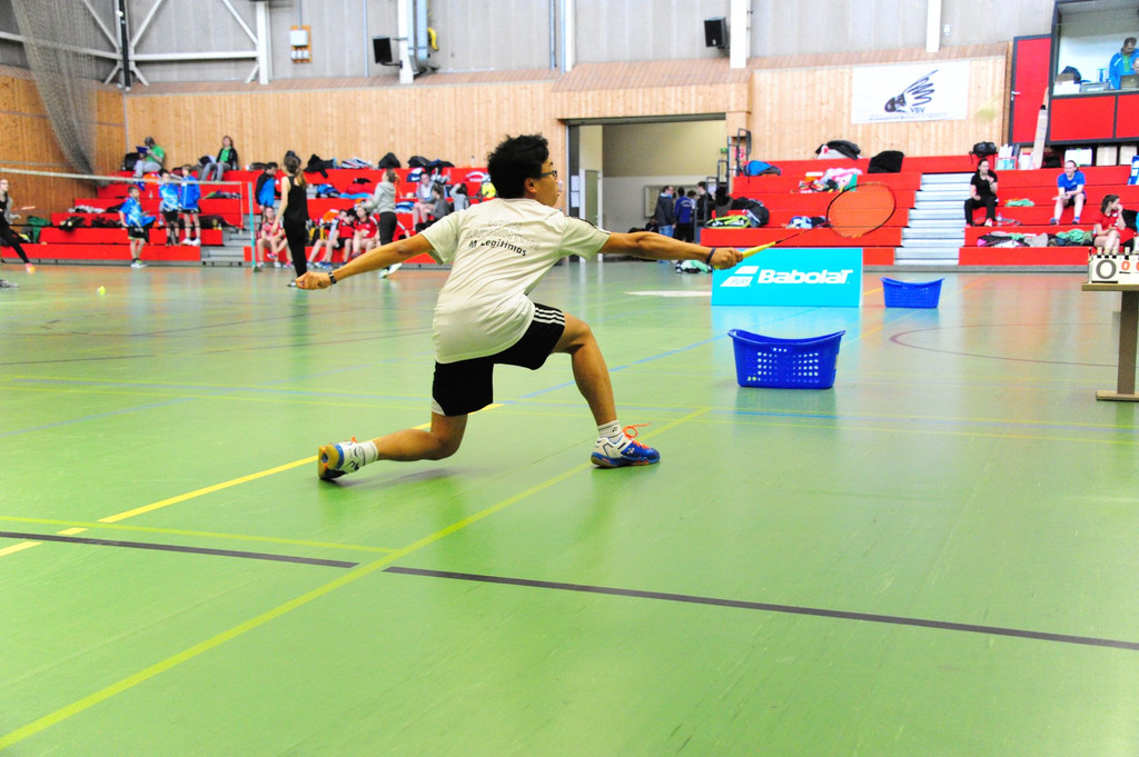 BM Badminton 256.jpg