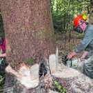 LANDWIRTSCHAFTLICHE BODENKULTUR