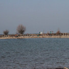 IMG_0418.JPG