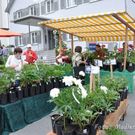 Vereinsausflug_2010_024.jpg