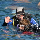 Schnuppertauchen-10_011_jpg-1276548362