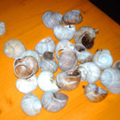 IMAG7013.jpg