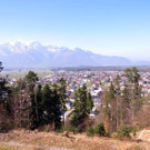 IMG_3711.jpg