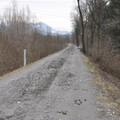 DSC_0084.JPG
