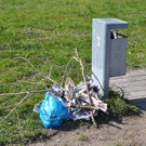 DSC_0147.JPG