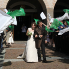 IMG_0223a_jpg-1276585300