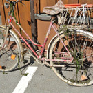 image2.JPG